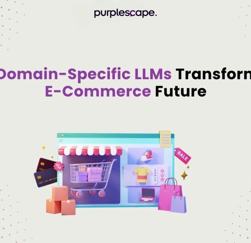 Transform the Future of E-Commerce with Domain-Specific LLMs